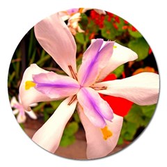 African Iris Magnet 5  (round) by sirhowardlee