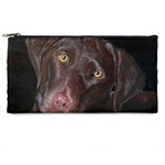 Inquisitive Chocolate Lab Pencil Case Front