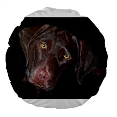 Inquisitive Chocolate Lab 18  Premium Flano Round Cushion 