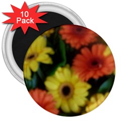 Orange Yellow Daisy Flowers Gerbera 3  Button Magnet (10 Pack)