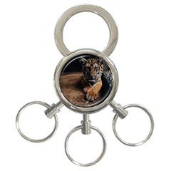 Photo  3-ring Key Chain