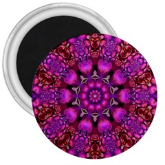 Pink Fractal Kaleidoscope  3  Button Magnet