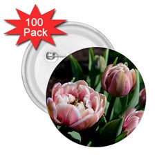 Tulips 2 25  Button (100 Pack) by anstey