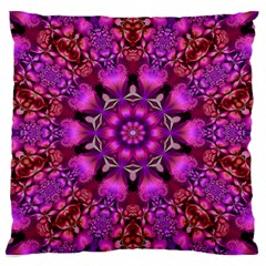 Pink Fractal Kaleidoscope  Large Cushion Cases (one Side) 