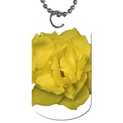 Isolated Yellow Rose Photo Dog Tag (two Sides) by dflcprints