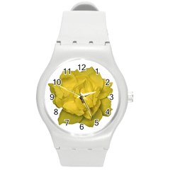 Isolated Yellow Rose Photo Round Plastic Sport Watch (m) by dflcprints