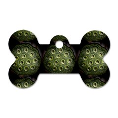 The Others Within Dog Tag Bone (one Side) by InsanityExpressed