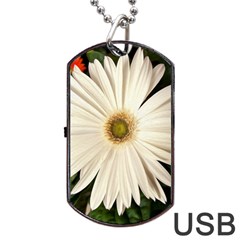 Daisyc Dog Tag Usb Flash (two Sides)  by infloence