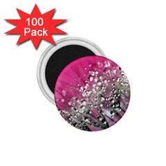 Dandelion 2015 0709 1 75  Magnets (100 Pack) 