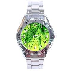 Special Fireworks, Green Stainless Steel Men s Watch