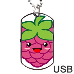 Raspberry Dog Tag Usb Flash (one Side)