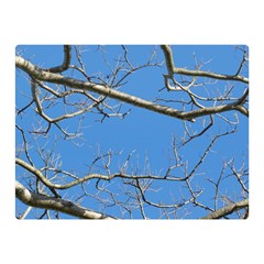 Leafless Tree Branches Against Blue Sky Double Sided Flano Blanket (mini)  by dflcprints