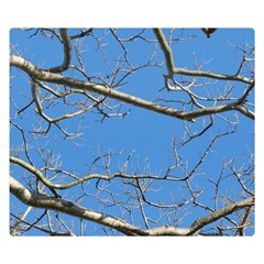 Leafless Tree Branches Against Blue Sky Double Sided Flano Blanket (small)  by dflcprints