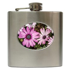 Beautiful Colourful African Daisies  Hip Flask (6 Oz) by OZMedia