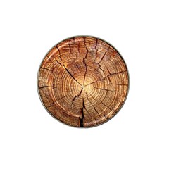 Cross Section Of An Old Tree Hat Clip Ball Marker (10 Pack) by trendistuff