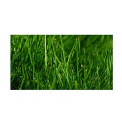 Green Grass 1 Satin Wrap