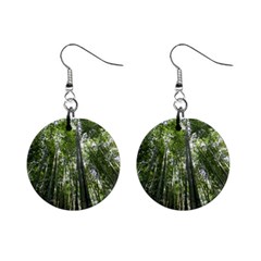 Bamboo Grove 1 Mini Button Earrings by trendistuff