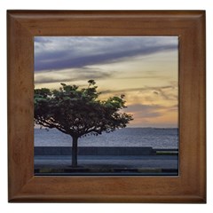 Sunset Scene At Boardwalk In Montevideo Uruguay Framed Tiles by dflcprints