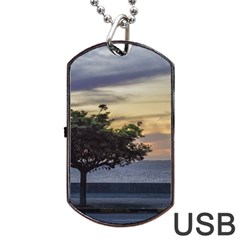 Sunset Scene At Boardwalk In Montevideo Uruguay Dog Tag Usb Flash (one Side) by dflcprints