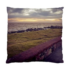 Playa Verde Coast In Montevideo Uruguay Standard Cushion Cases (two Sides)  by dflcprints