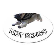 Do Pugs Oval Magnet