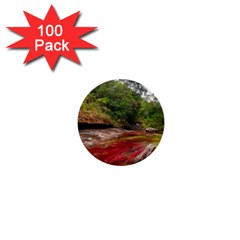 Cano Cristales 1 1  Mini Buttons (100 Pack)  by trendistuff