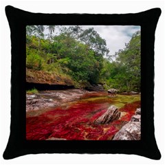 Cano Cristales 1 Throw Pillow Cases (black) by trendistuff