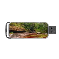 Cano Cristales 1 Portable Usb Flash (one Side) by trendistuff