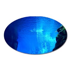 Underwater Trench Oval Magnet