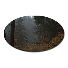 Twilight Road Oval Magnet by trendistuff