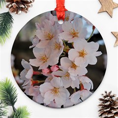 Sakura Ornament (round)  by trendistuff