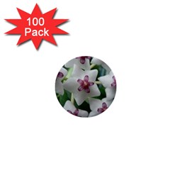 Hoyabella 1  Mini Buttons (100 Pack)  by trendistuff