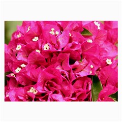 Bougainvillea Large Glasses Cloth (2-side) by trendistuff