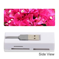 Bougainvillea Memory Card Reader (stick) 