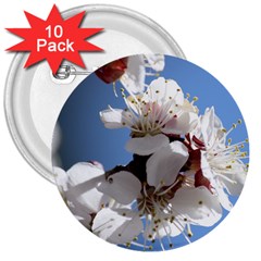 Apricot Blossoms 3  Buttons (10 Pack)  by trendistuff