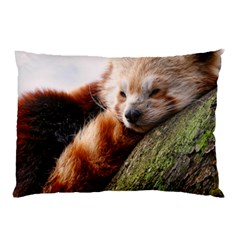 Red Panda Pillow Cases by trendistuff