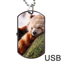 Red Panda Dog Tag Usb Flash (two Sides) 