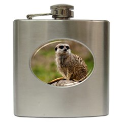 Meerkat Hip Flask (6 Oz)