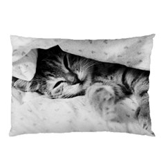 Sleepy Kitty Pillow Cases by trendistuff