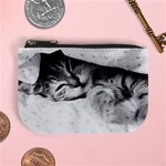 SLEEPY KITTY Mini Coin Purses Front