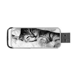 Sleepy Kitty Portable Usb Flash (two Sides)