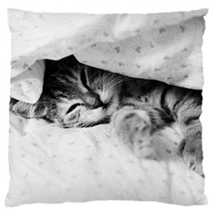 Sleepy Kitty Large Flano Cushion Cases (one Side)  by trendistuff