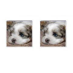 Sad Puppy Cufflinks (square) by trendistuff