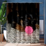 PUPPY WITH A CHEW TOY Shower Curtain 60  x 72  (Medium)  60 x72  Curtain