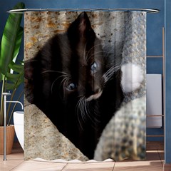 Pretty Blue-eyed Kitty Shower Curtain 60  X 72  (medium)  by trendistuff