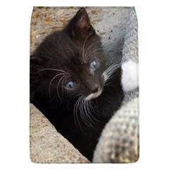 Pretty Blue-eyed Kitty Flap Covers (l)  by trendistuff