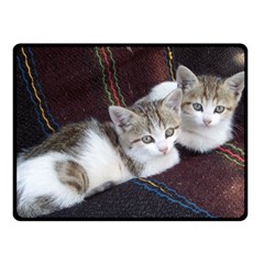 Kitty Twins Double Sided Fleece Blanket (small)  by trendistuff