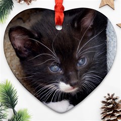 Kitty In A Corner Ornament (heart)  by trendistuff