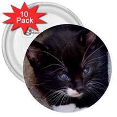 Kitty In A Corner 3  Buttons (10 Pack)  by trendistuff