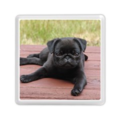 Alert Pug Puppy Memory Card Reader (square)  by trendistuff